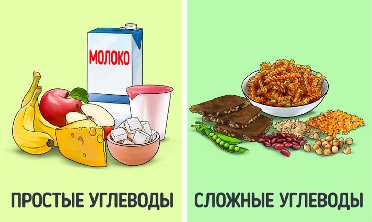 Углеводы: основа энергии. Быстрые углеводы.