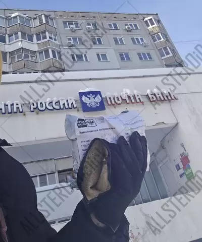 Отзыв от клиента "Михаил"