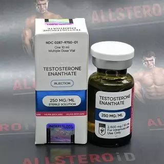 Hilma Testosterone E