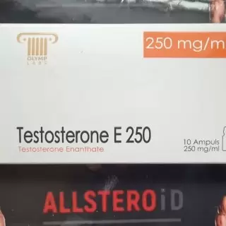 Olymp Testosterone E 250 (08.2025 просрок)