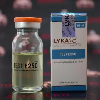 LYKA  TEST E