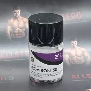 Zetta New PROVIRON