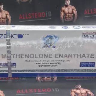 ZPHC NEW METHENOLONE ENANTHATE