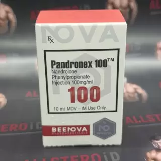 Beenova Pandronex