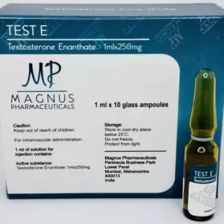 MAGNUS TEST E