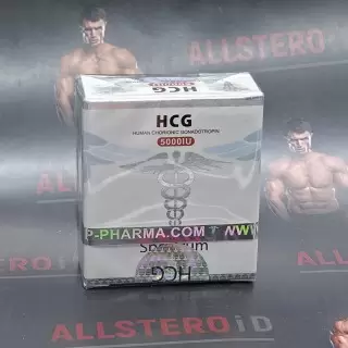 SPECTRUM HCG (гонадотропин)