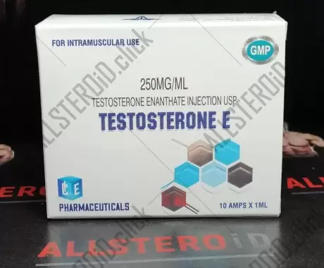 ICE TESTOSTERONE E 250mg/ml - ЦЕНА ЗА 1 АМПУЛУ