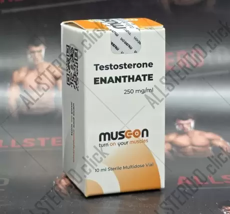 Musc-on Testosterone Enanthate