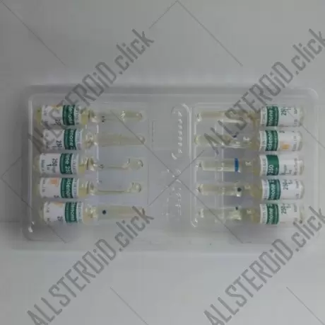 Olymp Boldenone (08.2025)