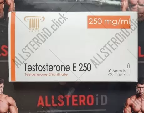 Olymp Testosterone E 250 (08.2025 просрок)