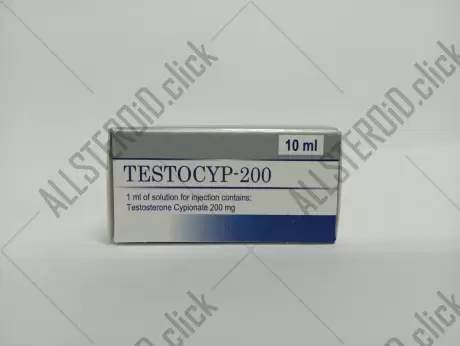 Andras Testocyp