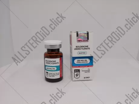 Hilma Boldenone Undecylenate