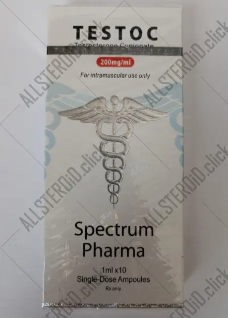 SPECTRUM TESTOC