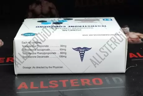 ICE TESTOSTERONE COMPOUD 250mg/ml - ЦЕНА ЗА 1 АМПУЛУ