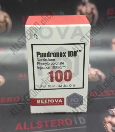Beenova Pandronex