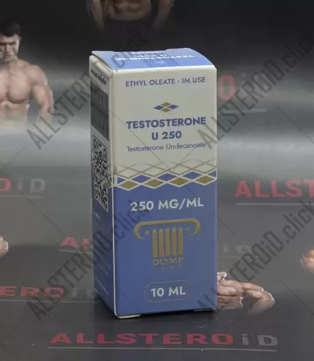 Olymp Testosterone U