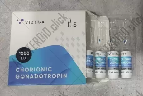 Vizega CHORIONIC GONADOTROPIN