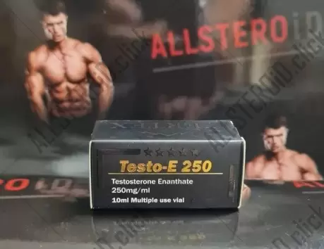 VERTEX TESTO-E
