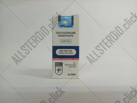 Hilma Testosterone E