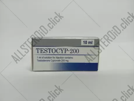 Andras Testocyp