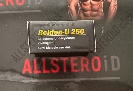 VERTEX BOLDEN-U