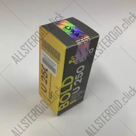 LYKA NEW BOLD  250