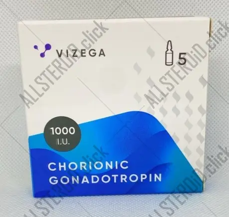 Vizega CHORIONIC GONADOTROPIN