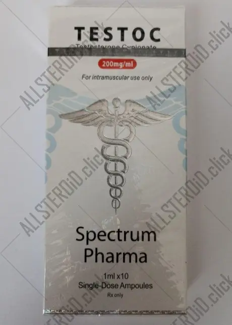 SPECTRUM TESTOC