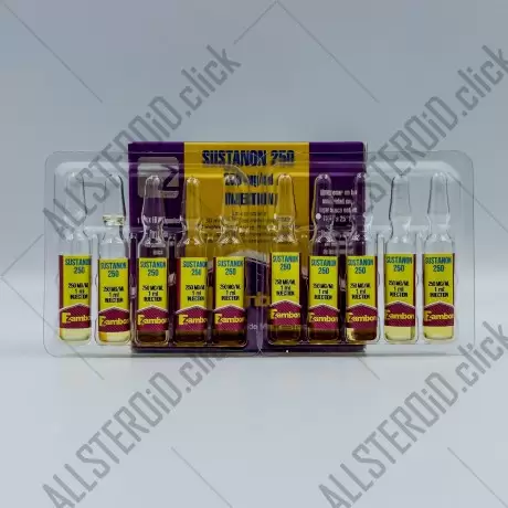 ZAMBON Sustanon (01.2026)