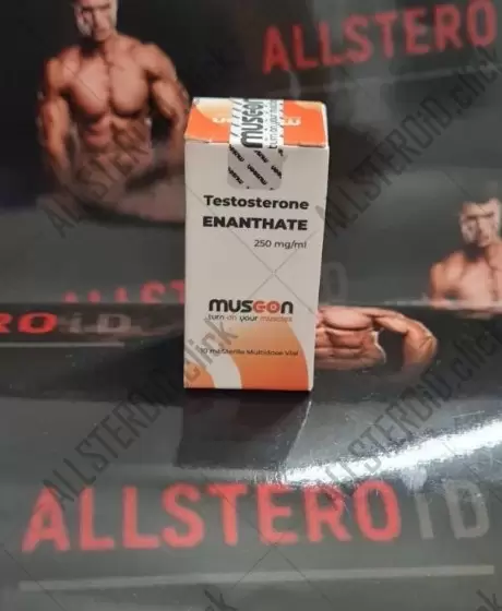 Musc-on Testosterone Enanthate