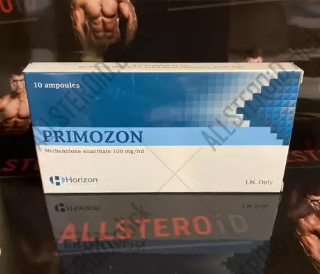 HORIZON PRIMOZON