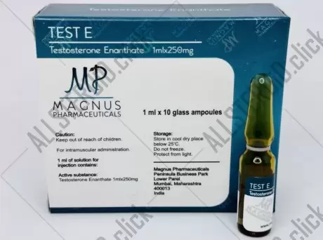 MAGNUS TEST E