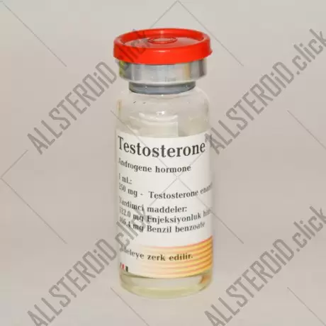 Testosterone Depot (Bayer)