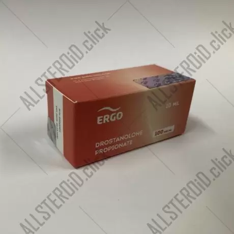 ERGO NEW MASTERON
