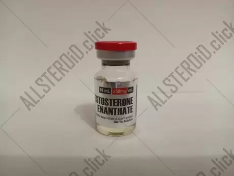 Medil Pharma Testosterone Enanthate