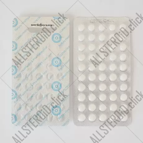 Clenbuterol Hydrochloride (Radjay)