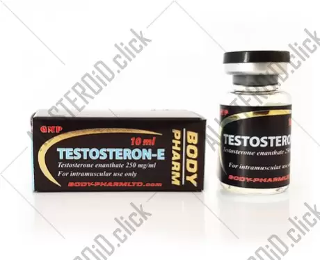 Testosteron E 250 (Body Pharm)