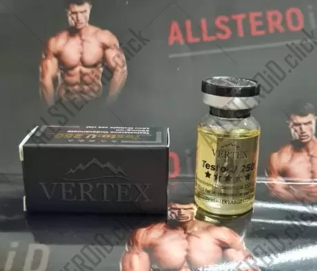 VERTEX TESTO U