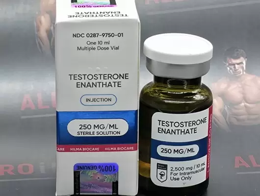 Hilma Testosterone E