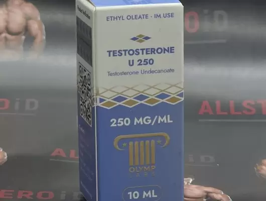 Olymp Testosterone U
