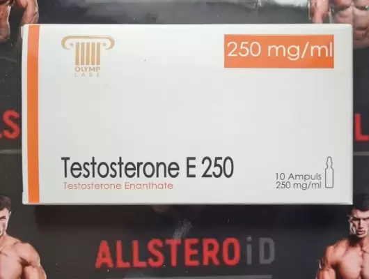 Olymp Testosterone E 250 (08.2025 просрок)
