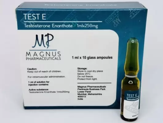 MAGNUS TEST E