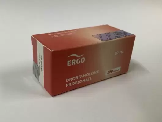 ERGO NEW MASTERON