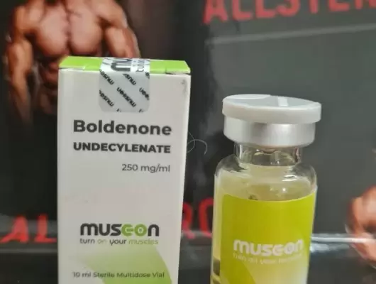 Musc-on Boldenone Undecylenate